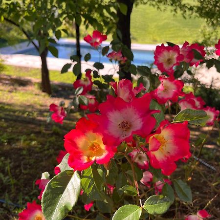 Agriturismo San Fabio 카스텔누오보베라덴가 외부 사진