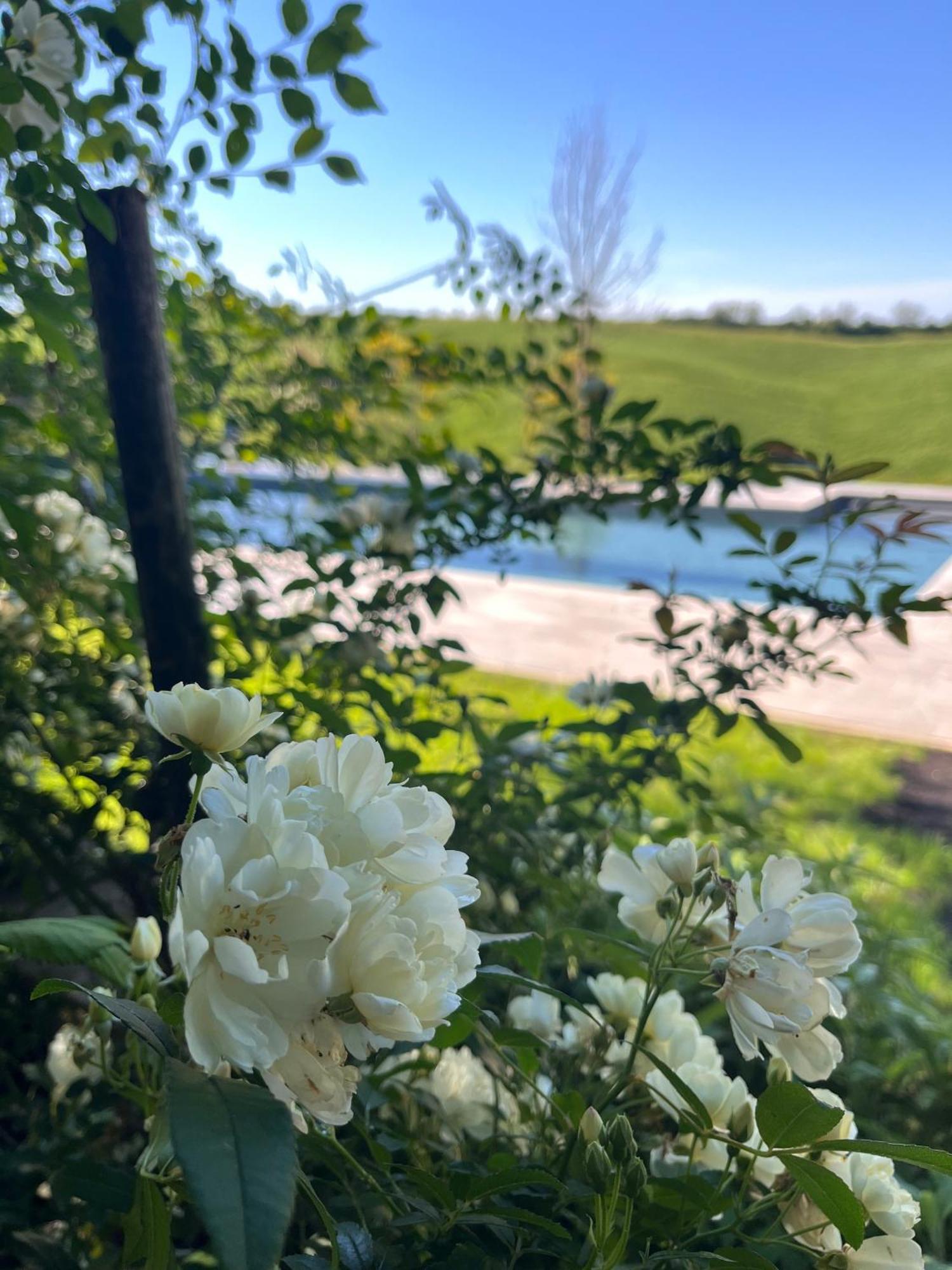Agriturismo San Fabio 카스텔누오보베라덴가 외부 사진